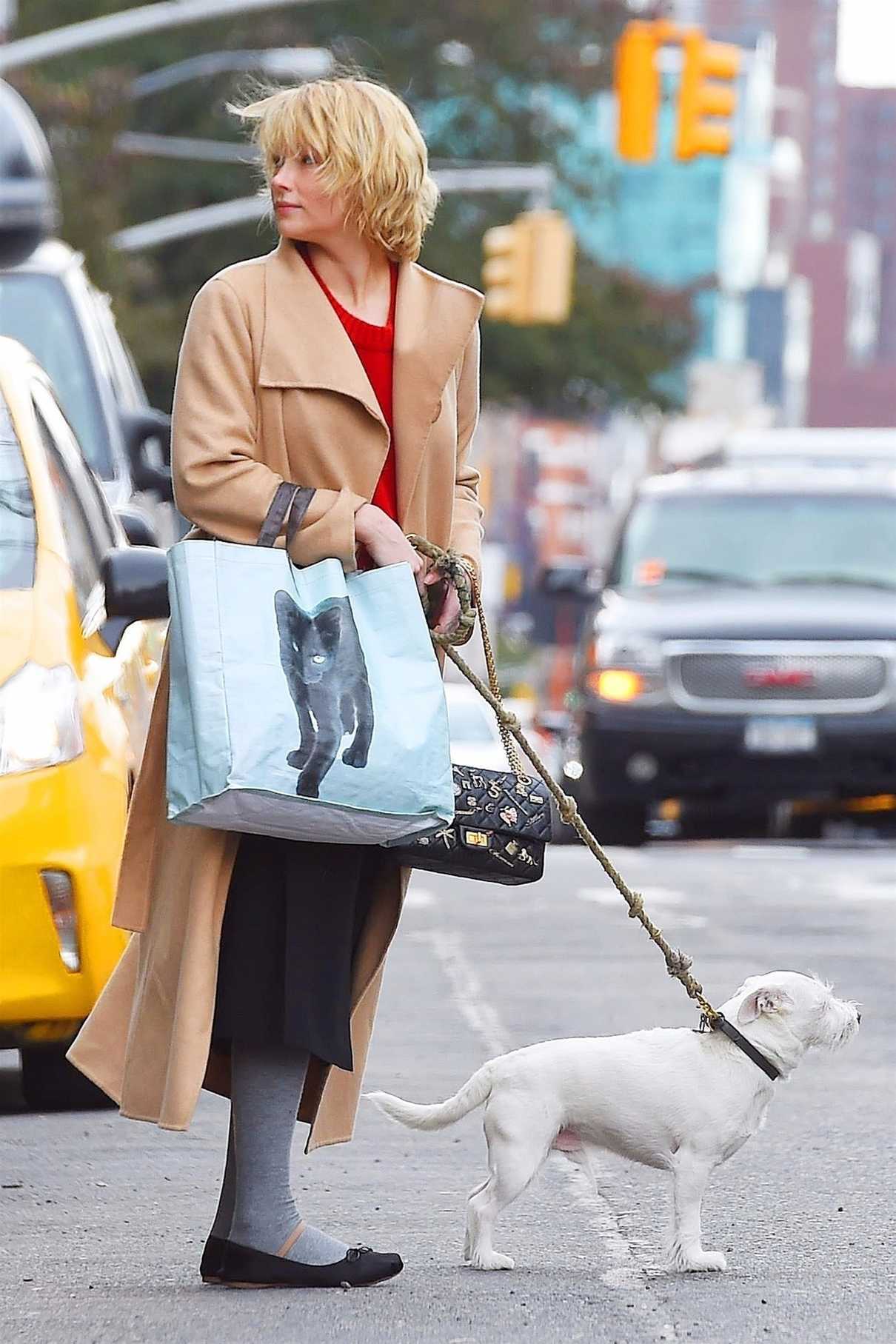 Haley Bennett Grabs a Cab With Her Dog Out in New York City 11/01/2017-3