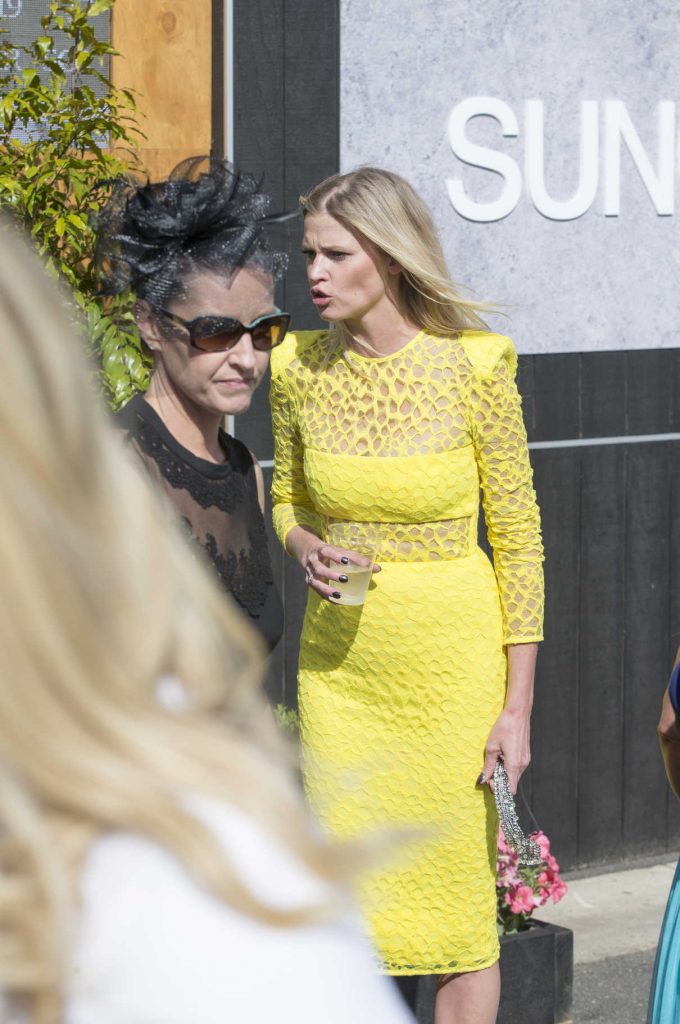 Lara Stone Was Seen at the Melbourne Cup 11/07/2017-1