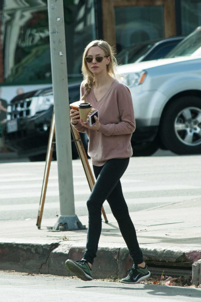 Amanda Seyfried Was Seen Out in Los Angeles 11/29/2017-1