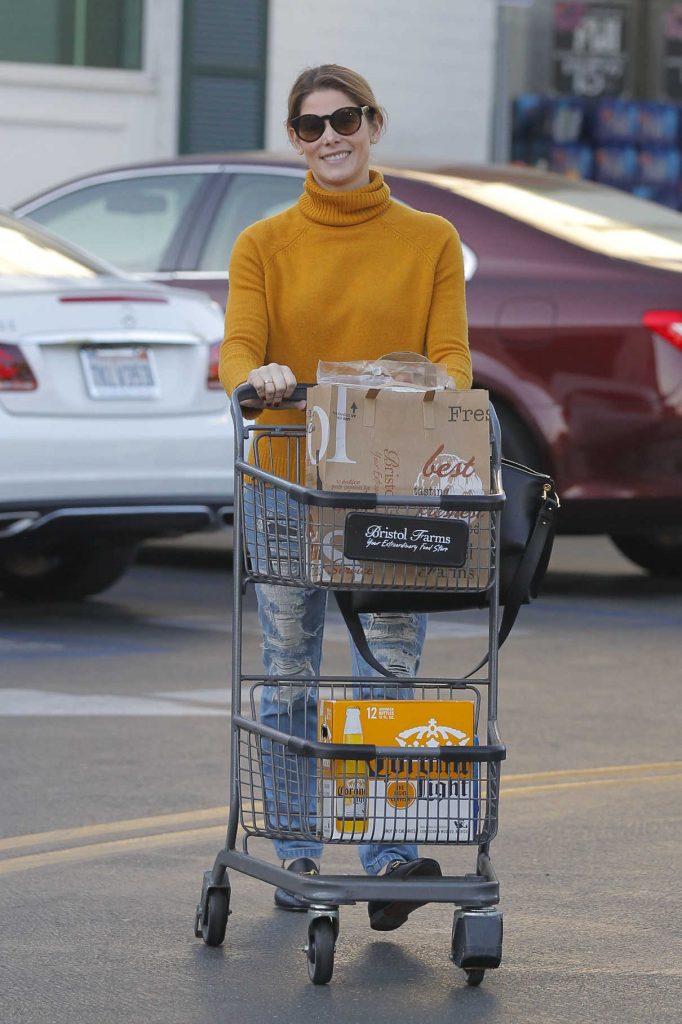 Ashley Greene Goes Grocery Shopping at Bristol Farms in Beverly Hills 12/19/2017-1