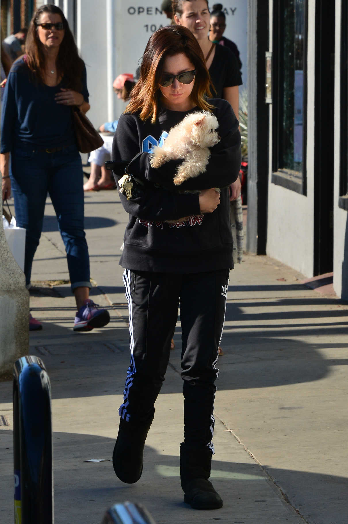 Ashley Tisdale Out with Her Dog in Venice Beach 12/19/2017-3