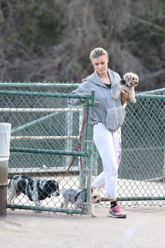 Joanna Krupa Takes Her Dogs to the Dog Park in Hollywood 12/11/2017-1