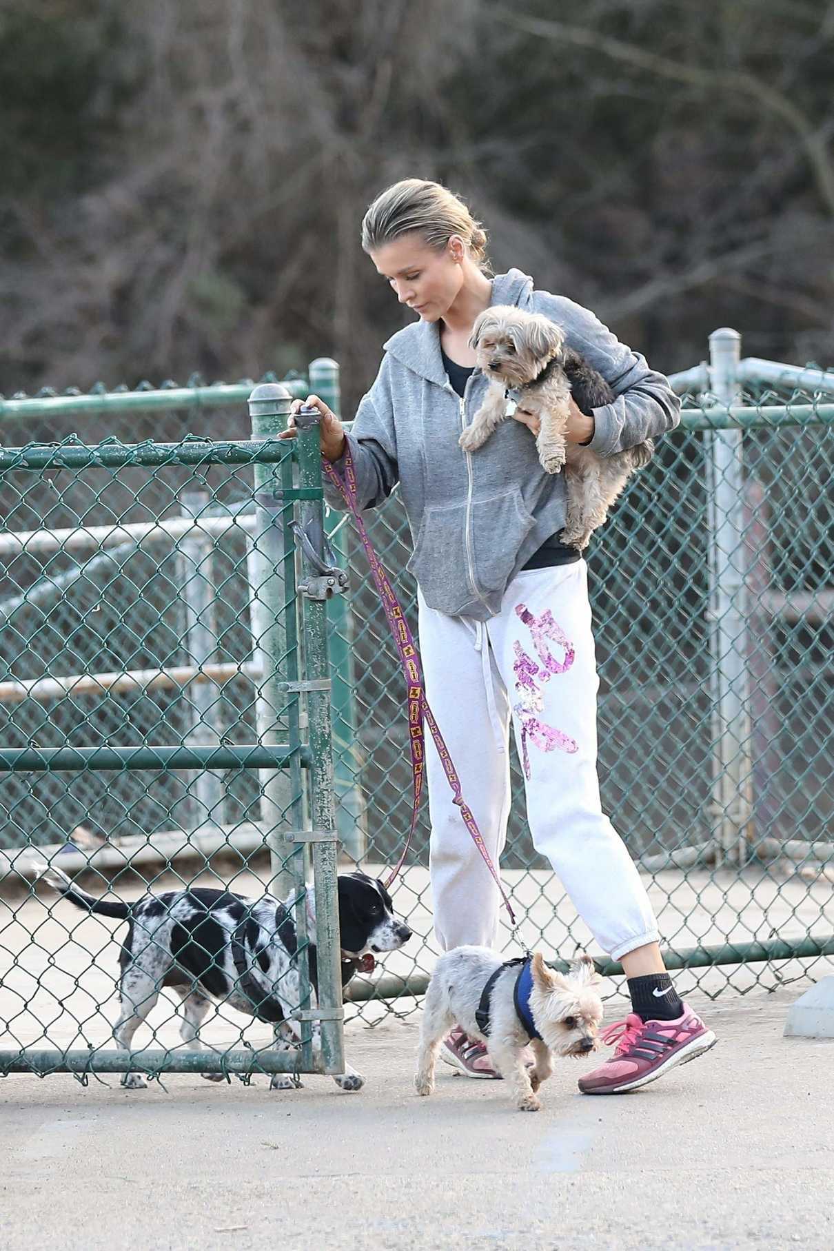 Joanna Krupa Takes Her Dogs to the Dog Park in Hollywood 12/11/2017-2