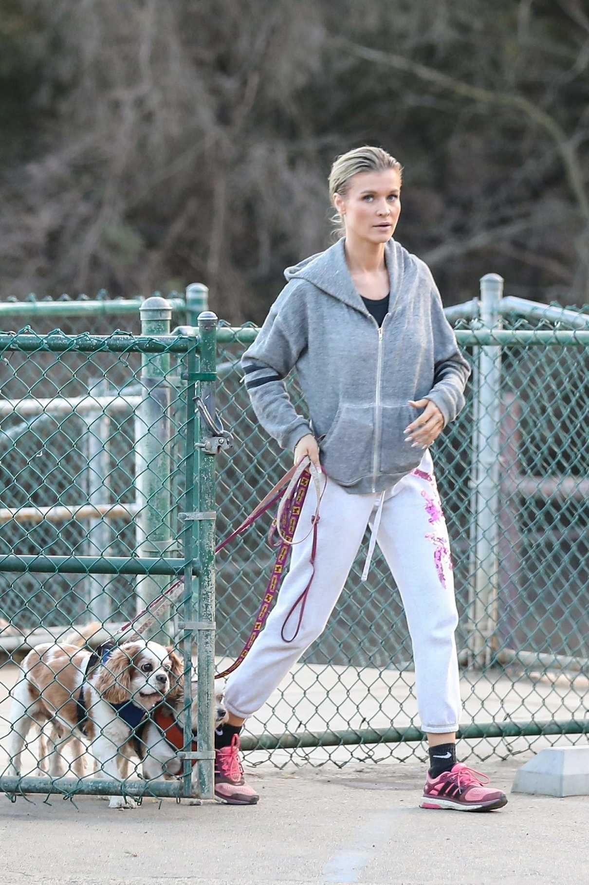 Joanna Krupa Takes Her Dogs to the Dog Park in Hollywood 12/11/2017-3