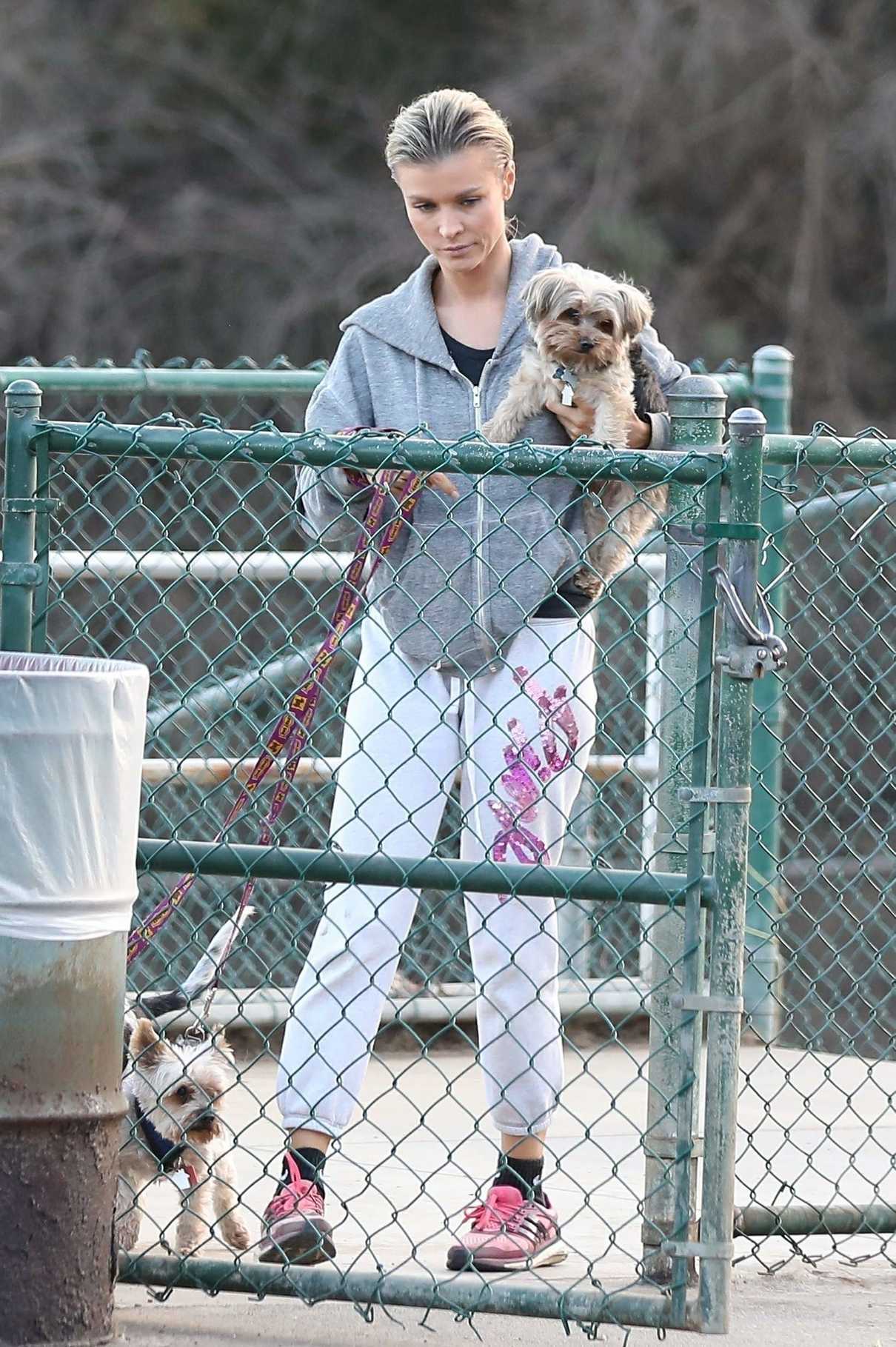 Joanna Krupa Takes Her Dogs to the Dog Park in Hollywood 12/11/2017-4