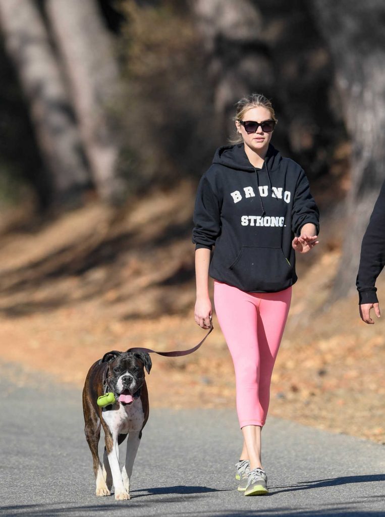 Kate Upton Out on a Hike with Her Dog in LA 12/19/2017-1