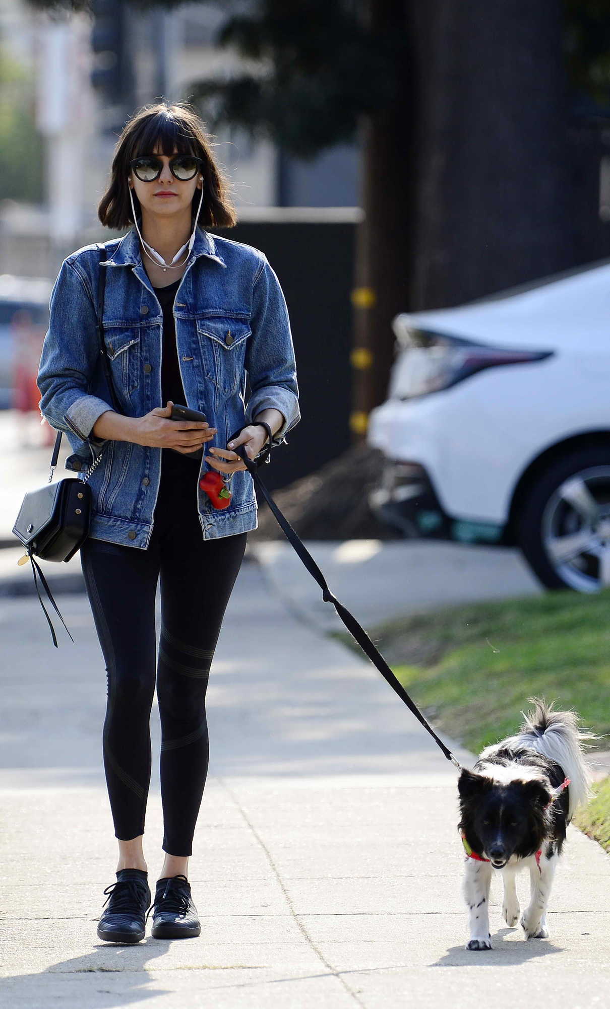Nina Dobrev Takes Her Dog Maverick for a Walk in Hollywood 12/16/2017-2