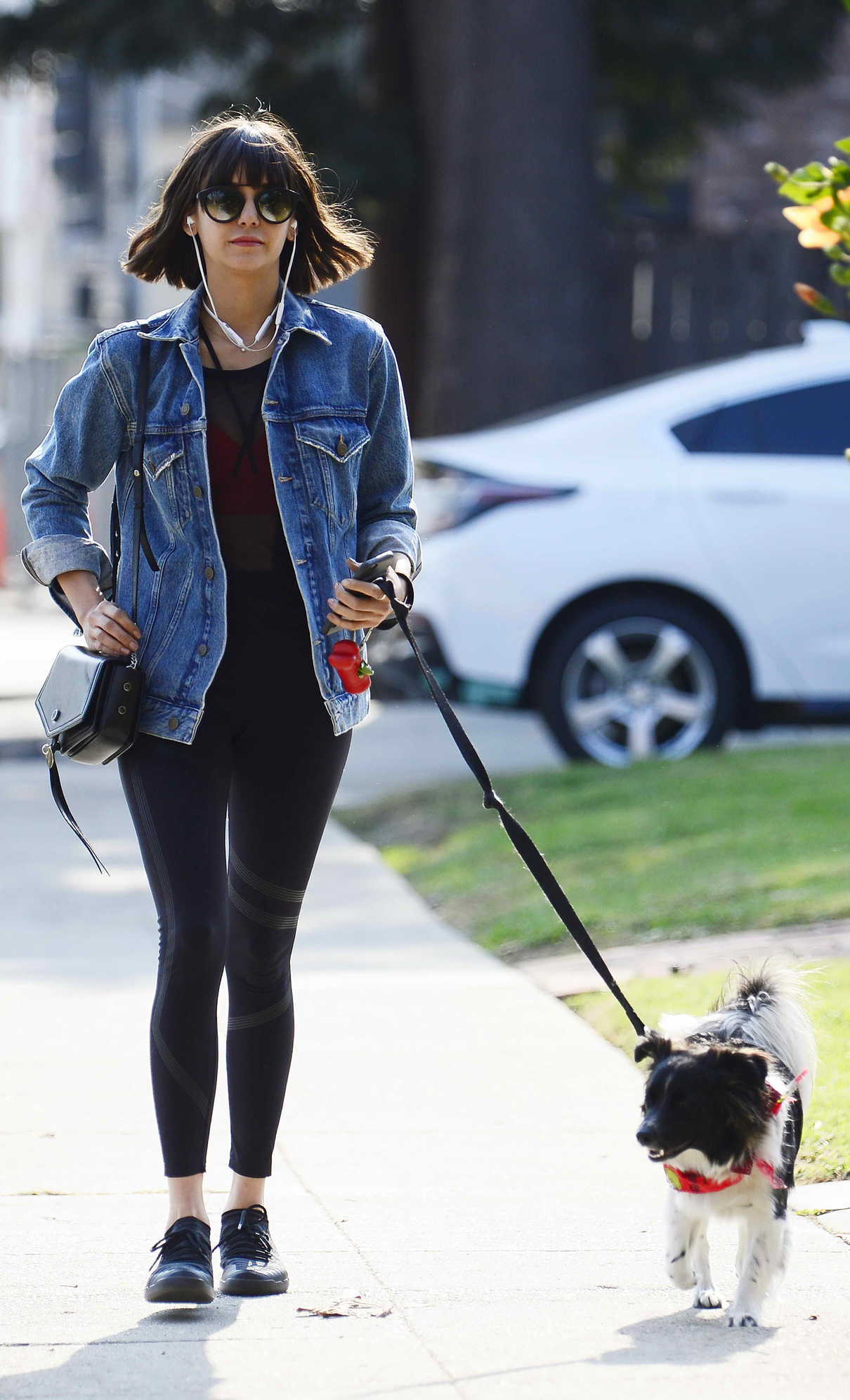 Nina Dobrev Takes Her Dog Maverick for a Walk in Hollywood 12/16/2017-3