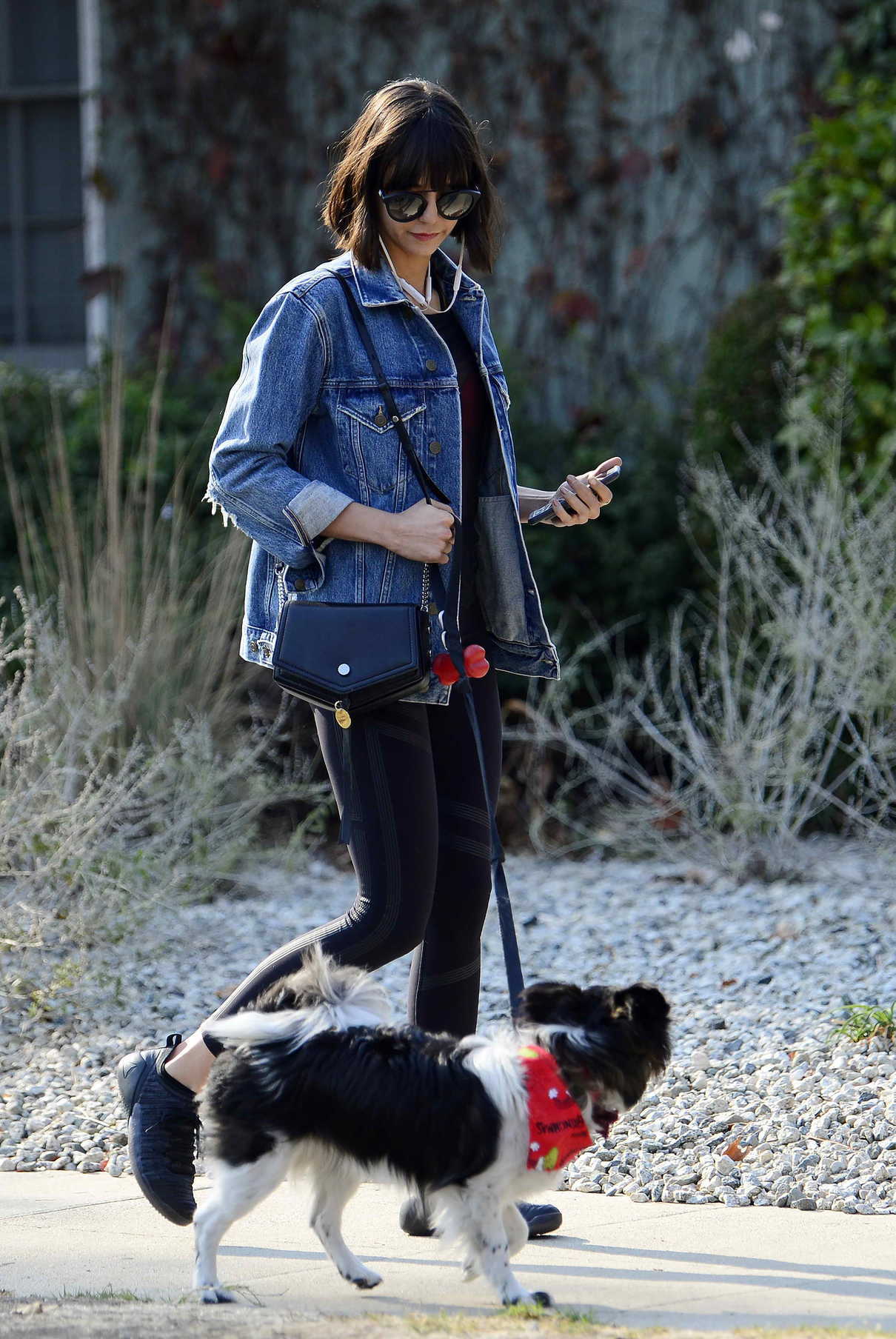 Nina Dobrev Takes Her Dog Maverick for a Walk in Hollywood 12/16/2017-4