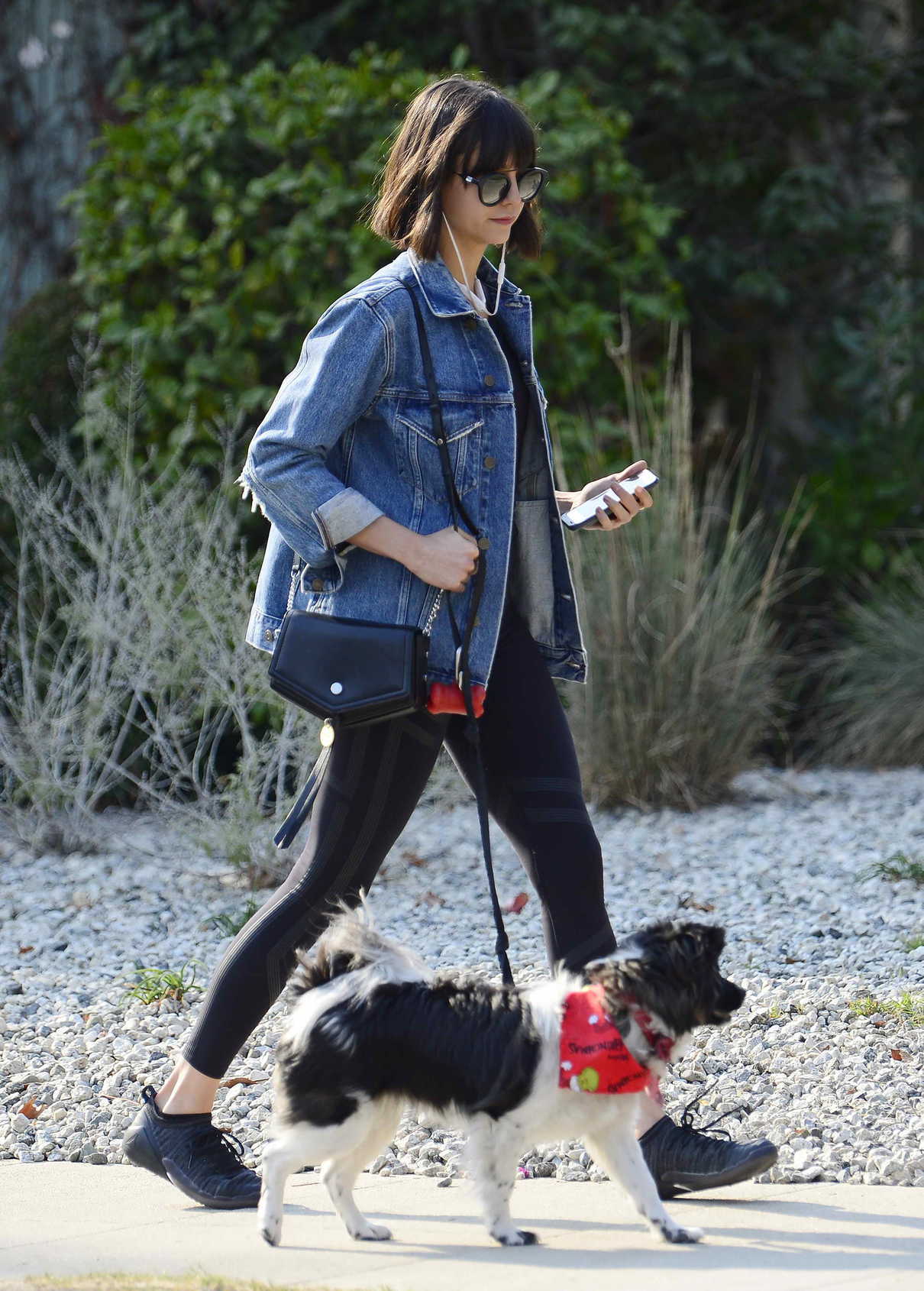 Nina Dobrev Takes Her Dog Maverick for a Walk in Hollywood 12/16/2017-5