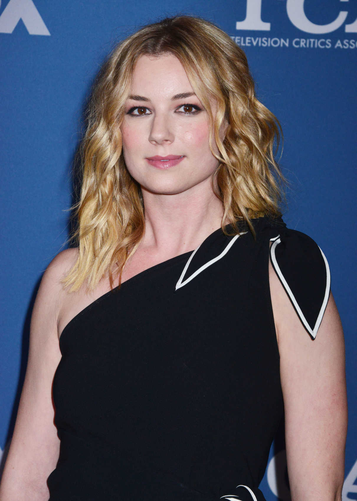 Emily VanCamp at the Fox Winter TCA 2018 All-Star Party in Pasadena 01/04/2018-4