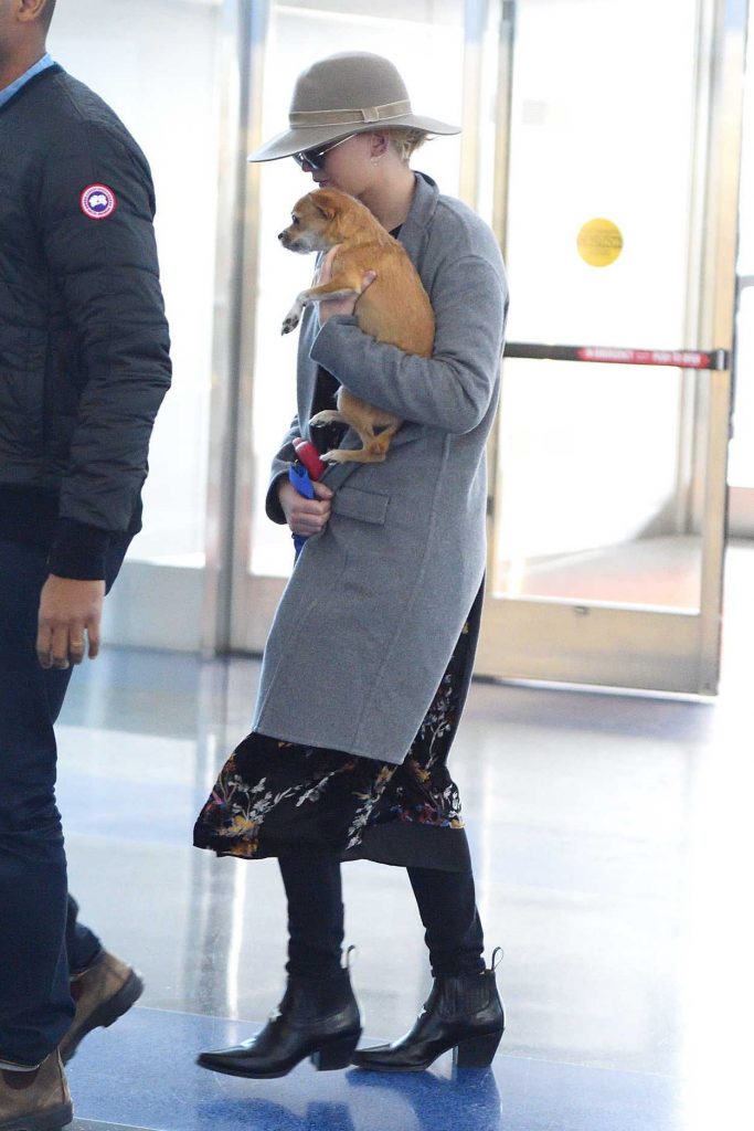 Jennifer Lawrence Was Spotted with Her Dog at JFK Airport in NYC 12/30/2017-1