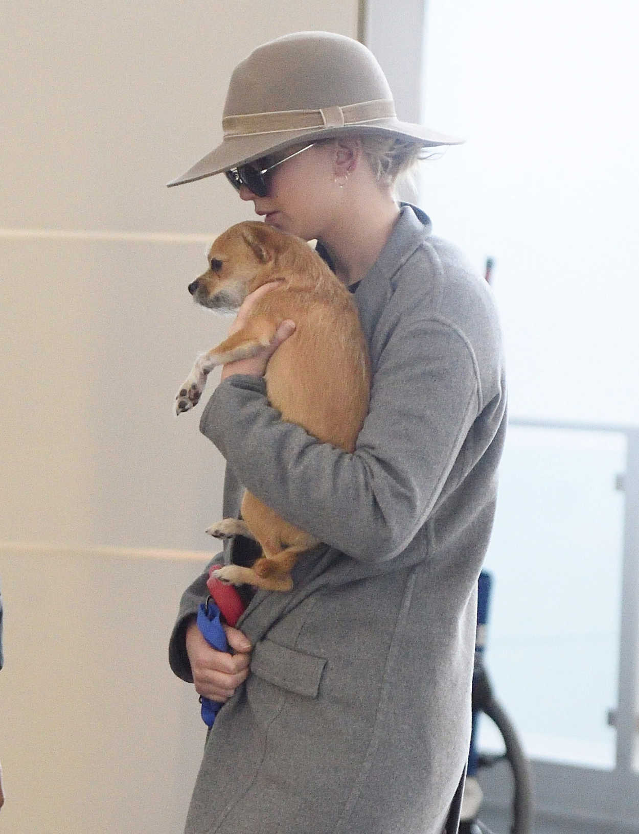 Jennifer Lawrence Was Spotted with Her Dog at JFK Airport in NYC 12/30