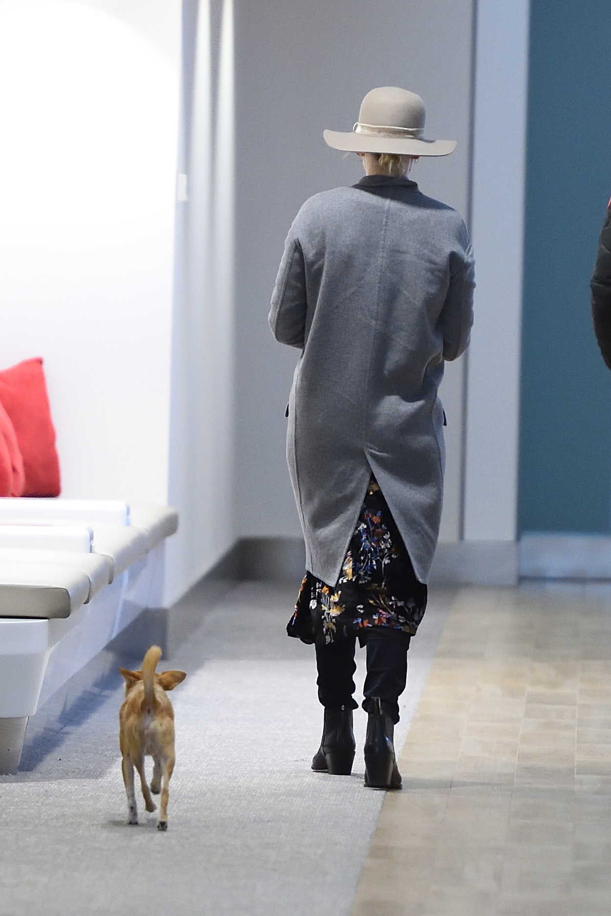 Jennifer Lawrence Was Spotted with Her Dog at JFK Airport in NYC 12/30/2017-5