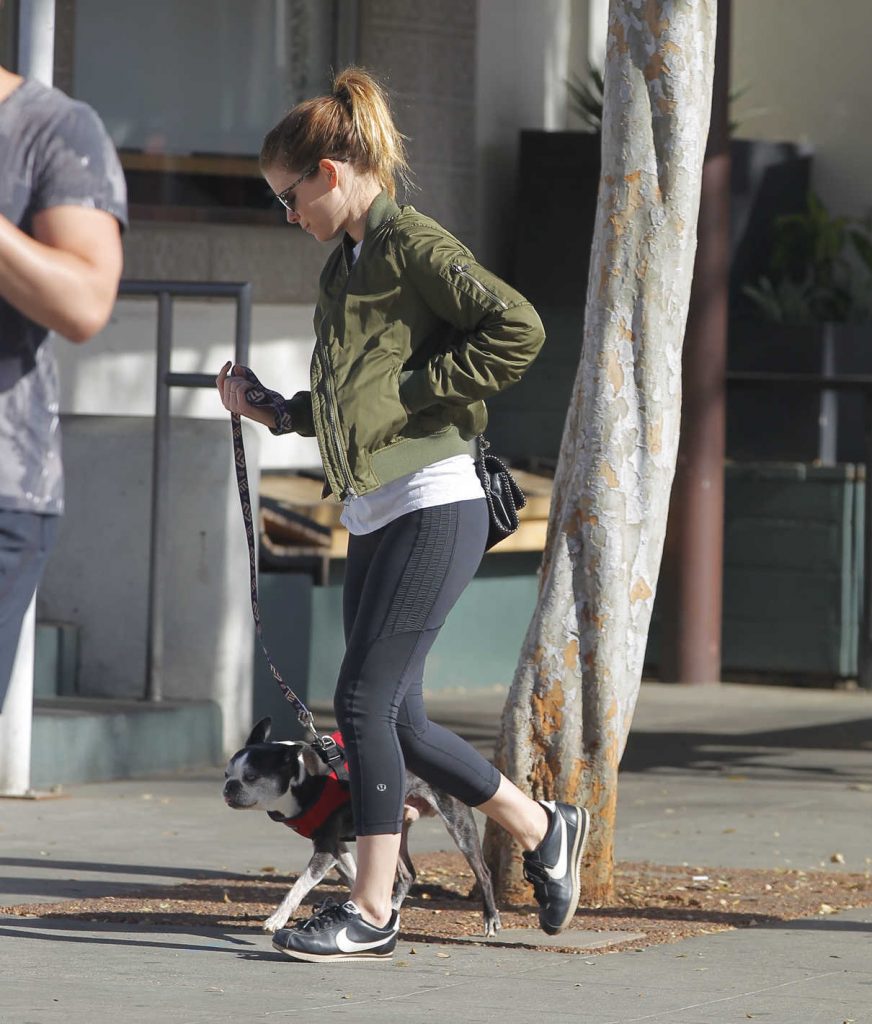 Kate Mara Takes Her Dog to the Hospital in LA 01/24/2018-1