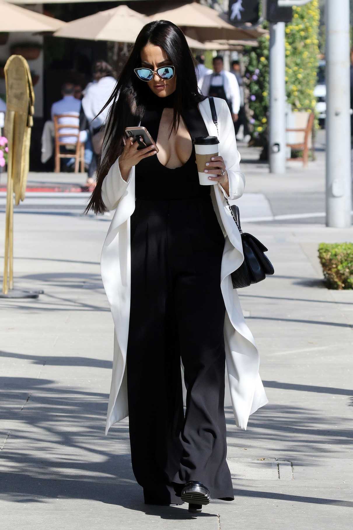Nikki Bella Was Spotted Out in Beverly Hills 02/05/2018-2