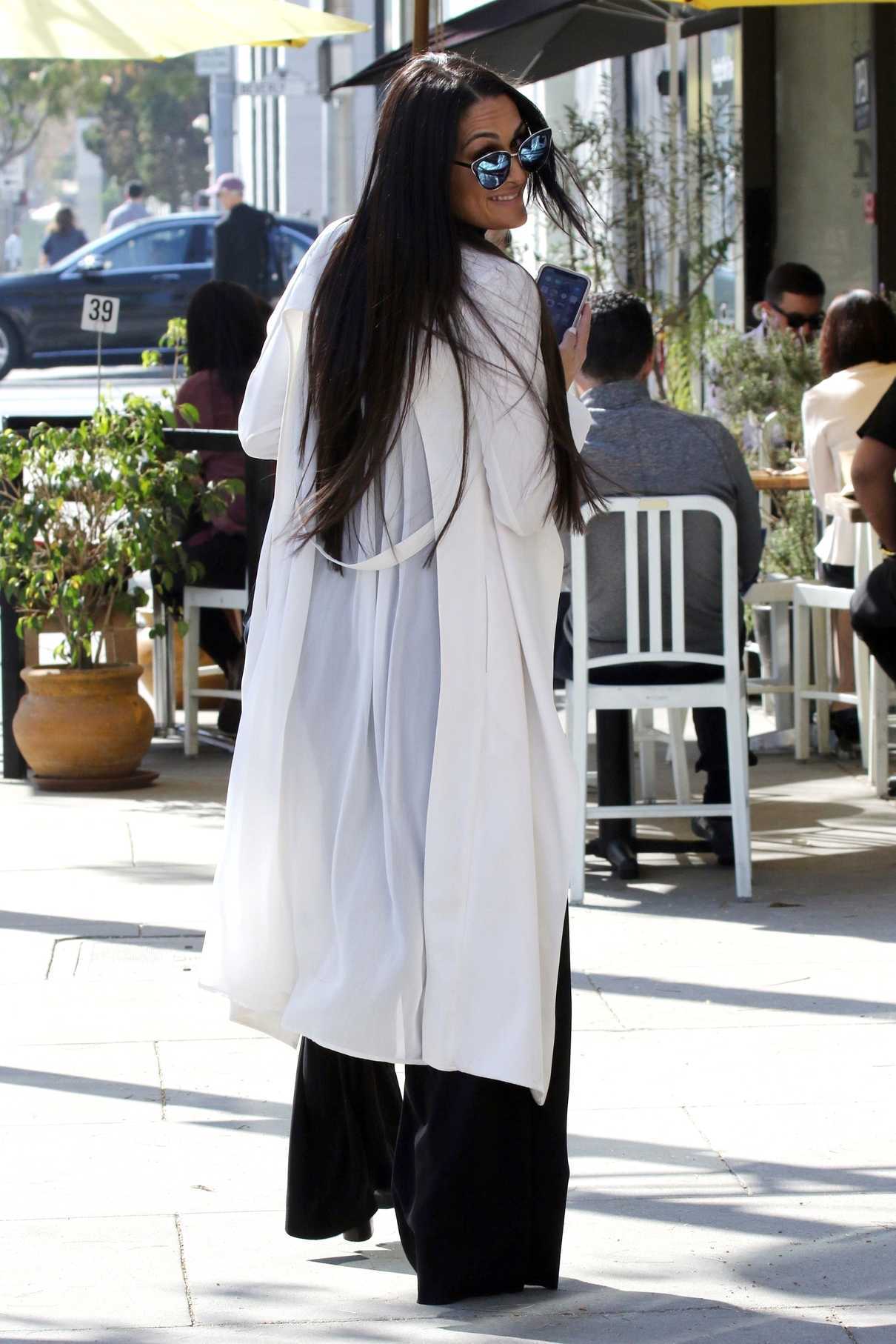 Nikki Bella Was Spotted Out in Beverly Hills 02/05/2018-5
