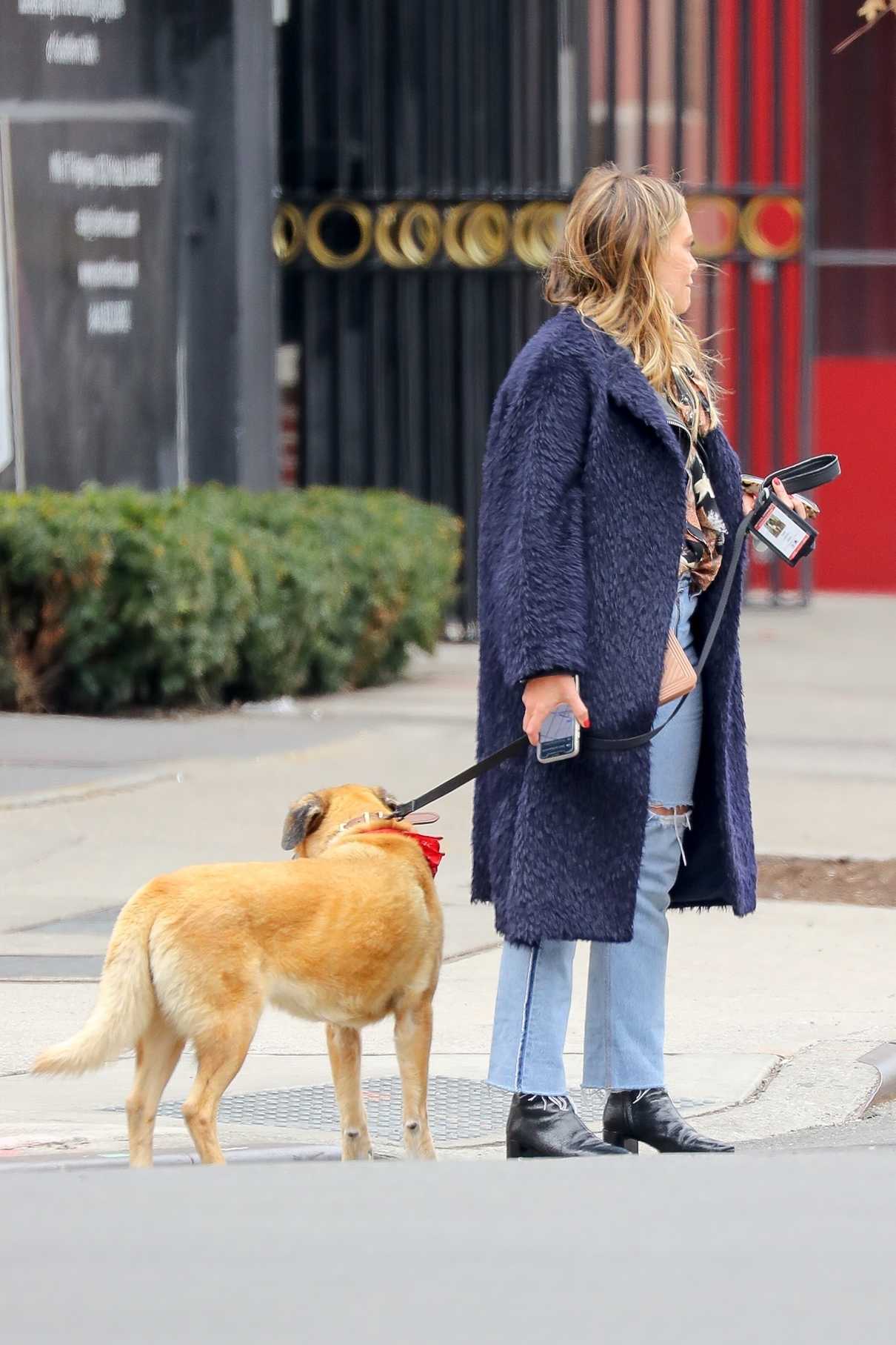 Hilary Duff Was Seen Out with Her Dog Lucy in NY 03/26/2018-5