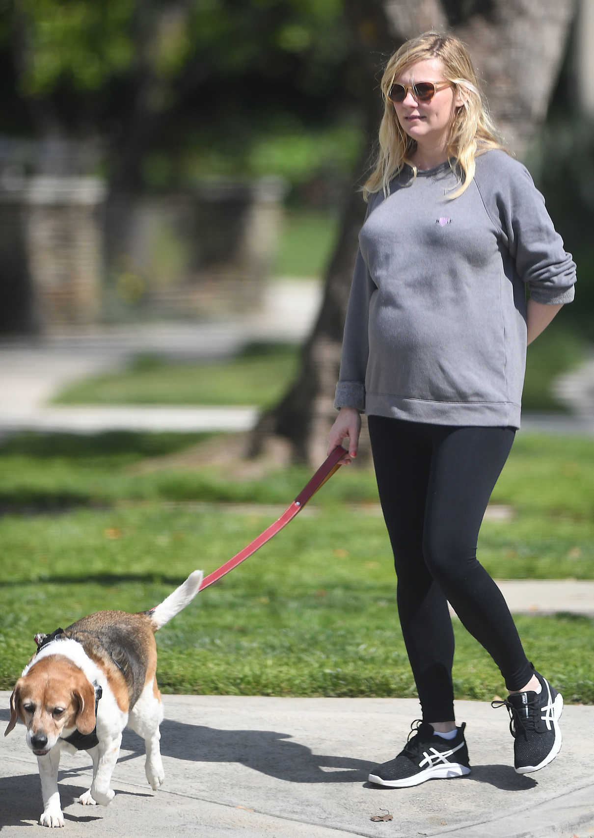 Kirsten Dunst Walks Her Dogs with Fiancée Jesse Plemons in Los Angeles 03/24/2018-2