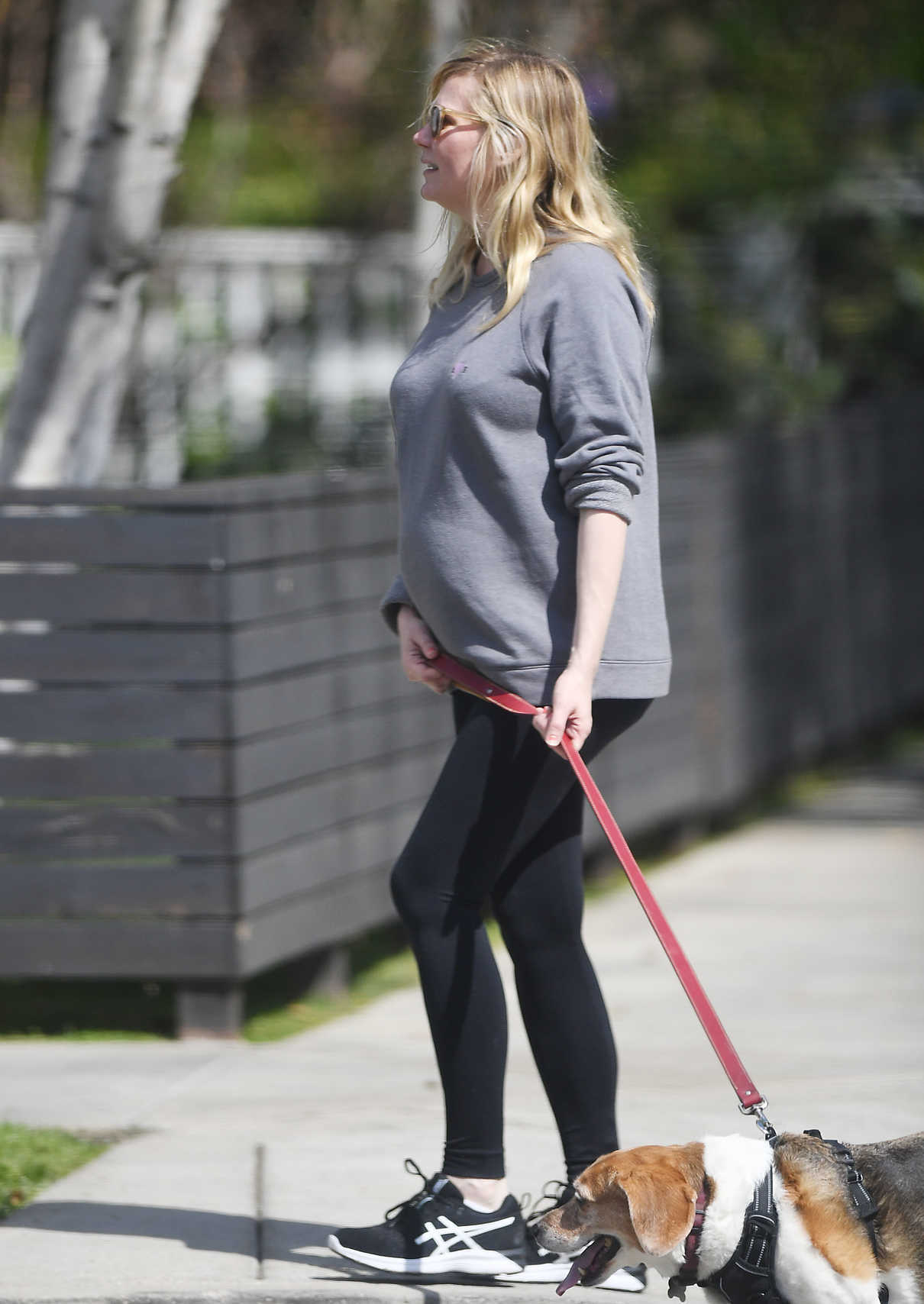 Kirsten Dunst Walks Her Dogs with Fiancée Jesse Plemons in Los Angeles 03/24/2018-3