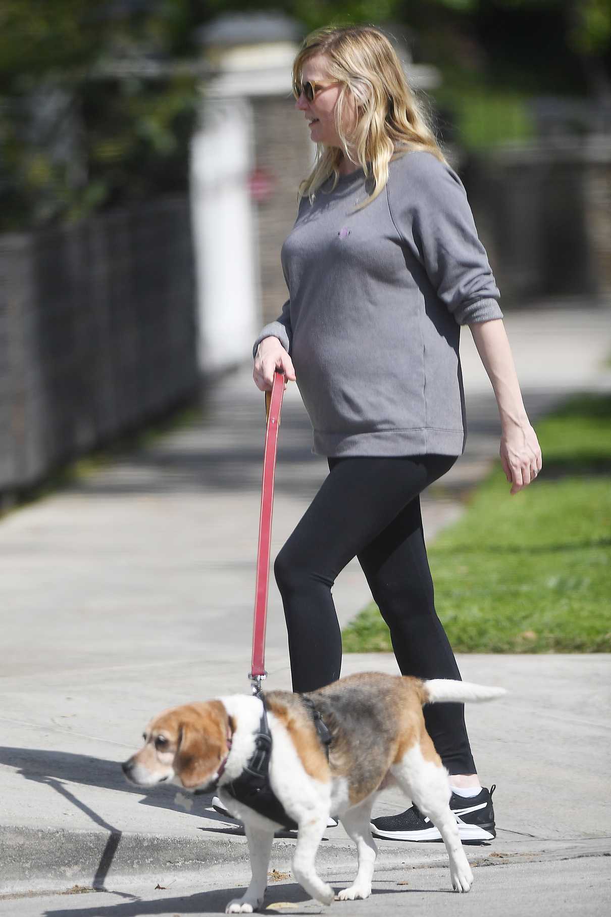 Kirsten Dunst Walks Her Dogs with Fiancée Jesse Plemons in Los Angeles 03/24/2018-4