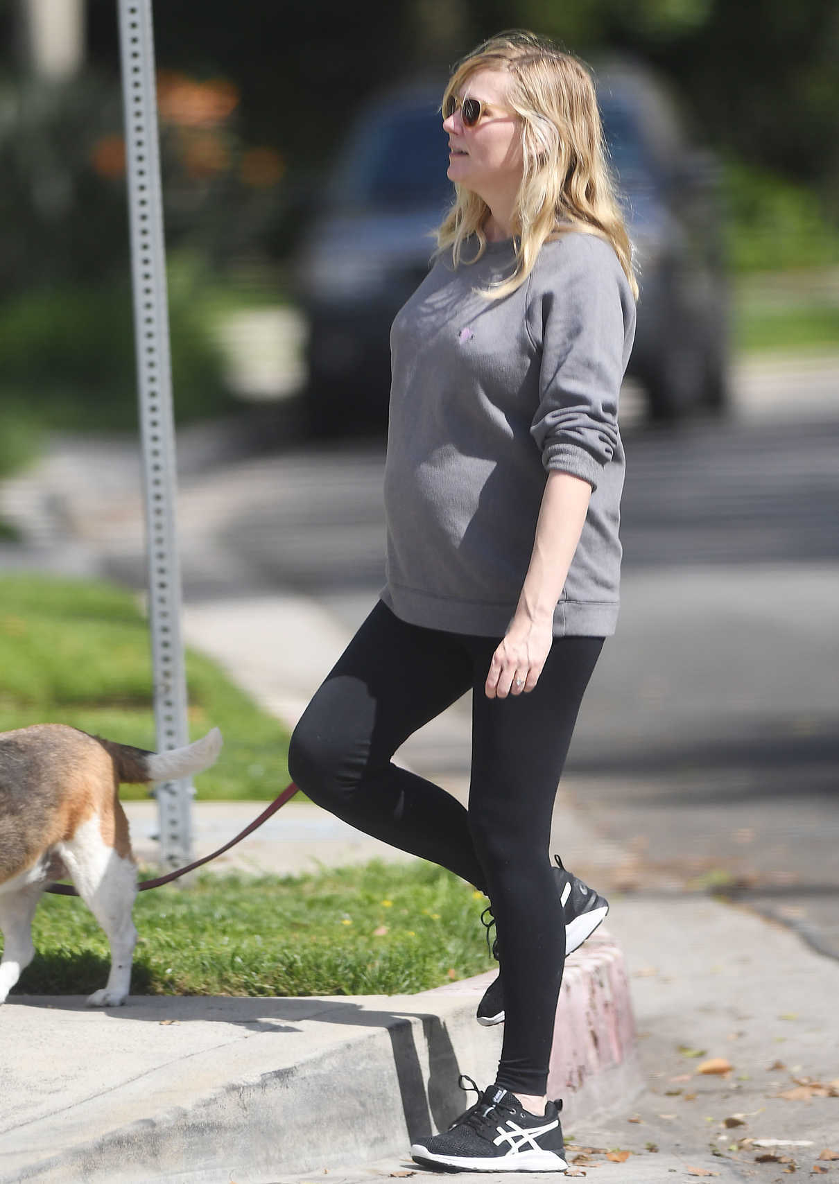 Kirsten Dunst Walks Her Dogs with Fiancée Jesse Plemons in Los Angeles 03/24/2018-5