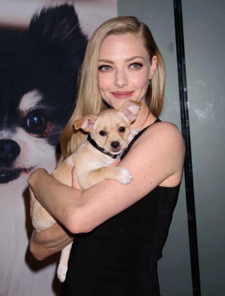 Amanda Seyfried at the Best Friends Animal Society’s Save Them All Gala