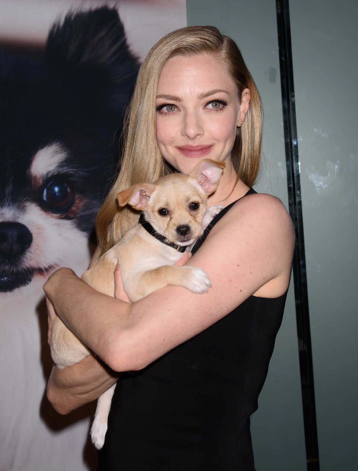 Amanda Seyfried at the Best Friends Animal Society's Save Them All Gala at Gustavino's in New York City 04/10/2018-3