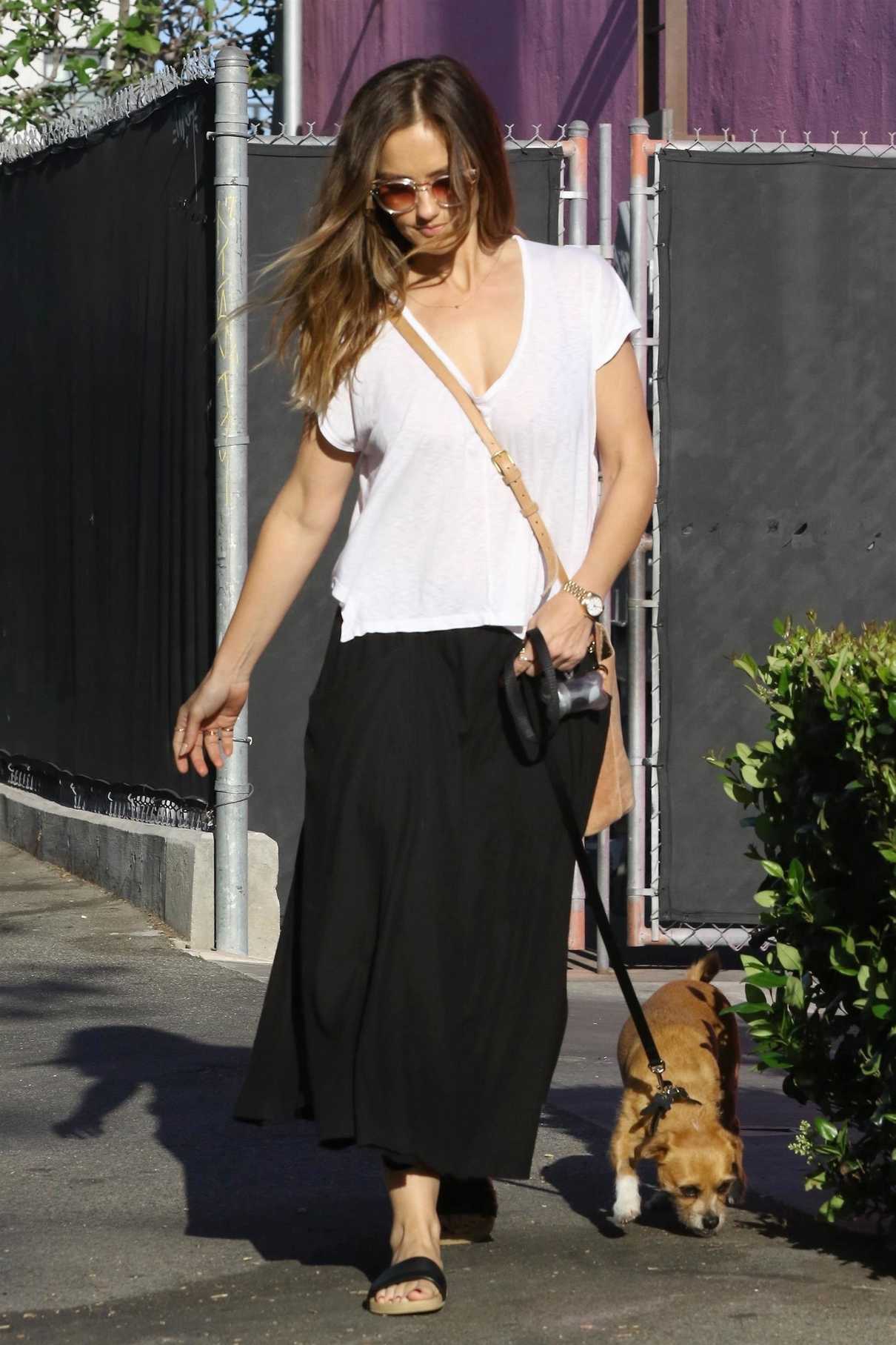 Minka Kelly Takes Her Dog to the Pet Salon in Los Angeles 04/18/2018-3