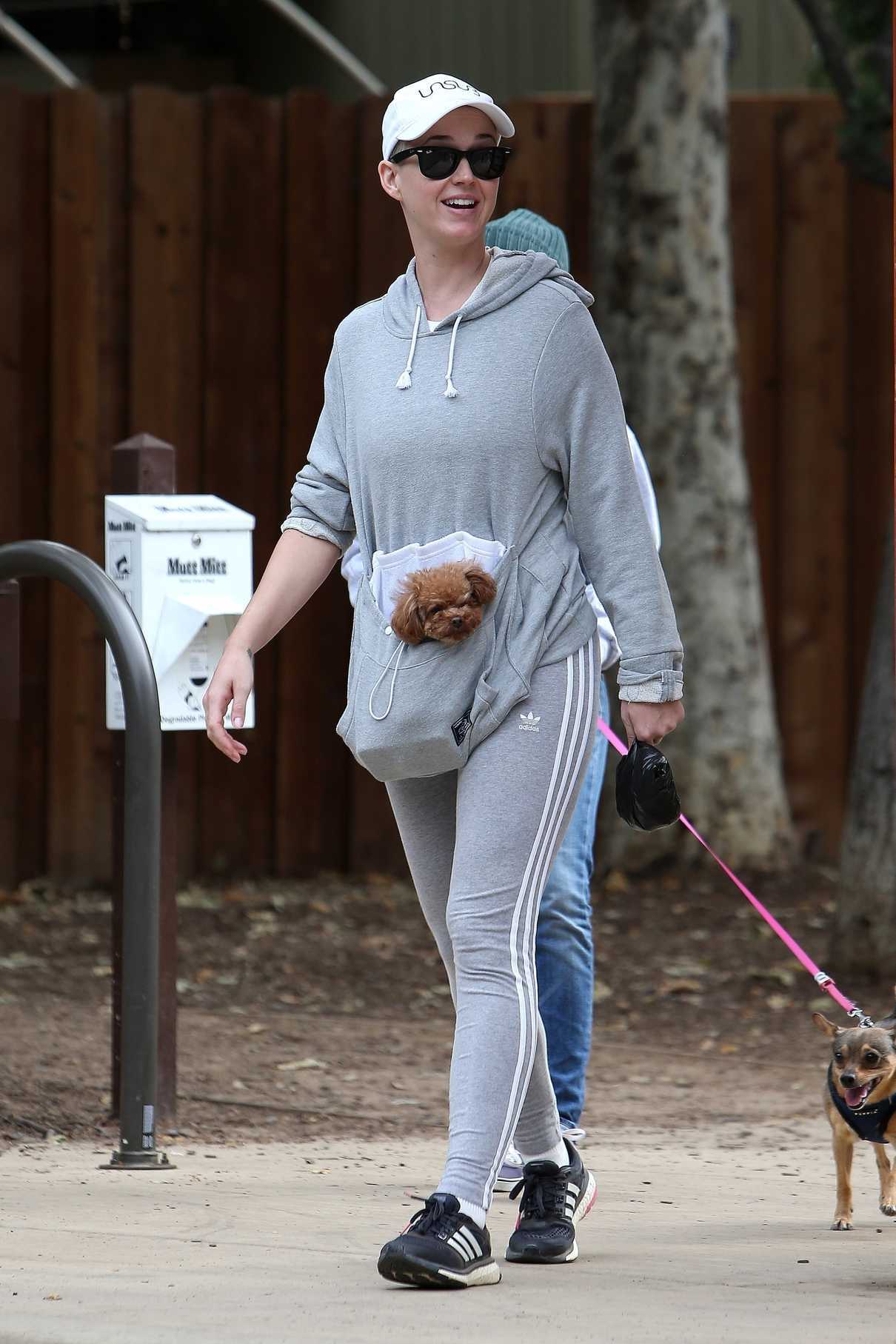 Katy Perry Walks Her Dog in Studio City 05/12/2018-5