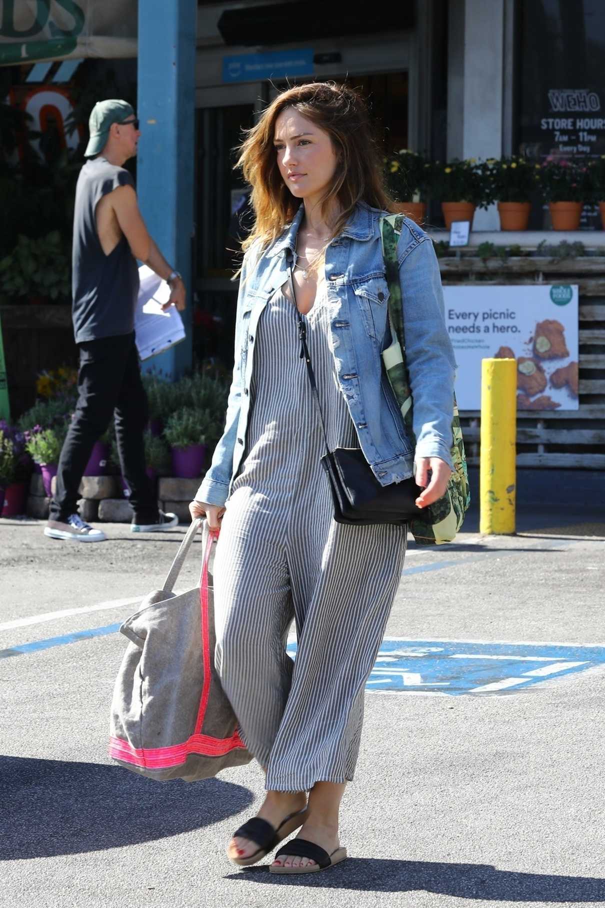 Minka Kelly Does Some Grocery Shopping at Whole Foods in Los Angeles 06/28/2018-1