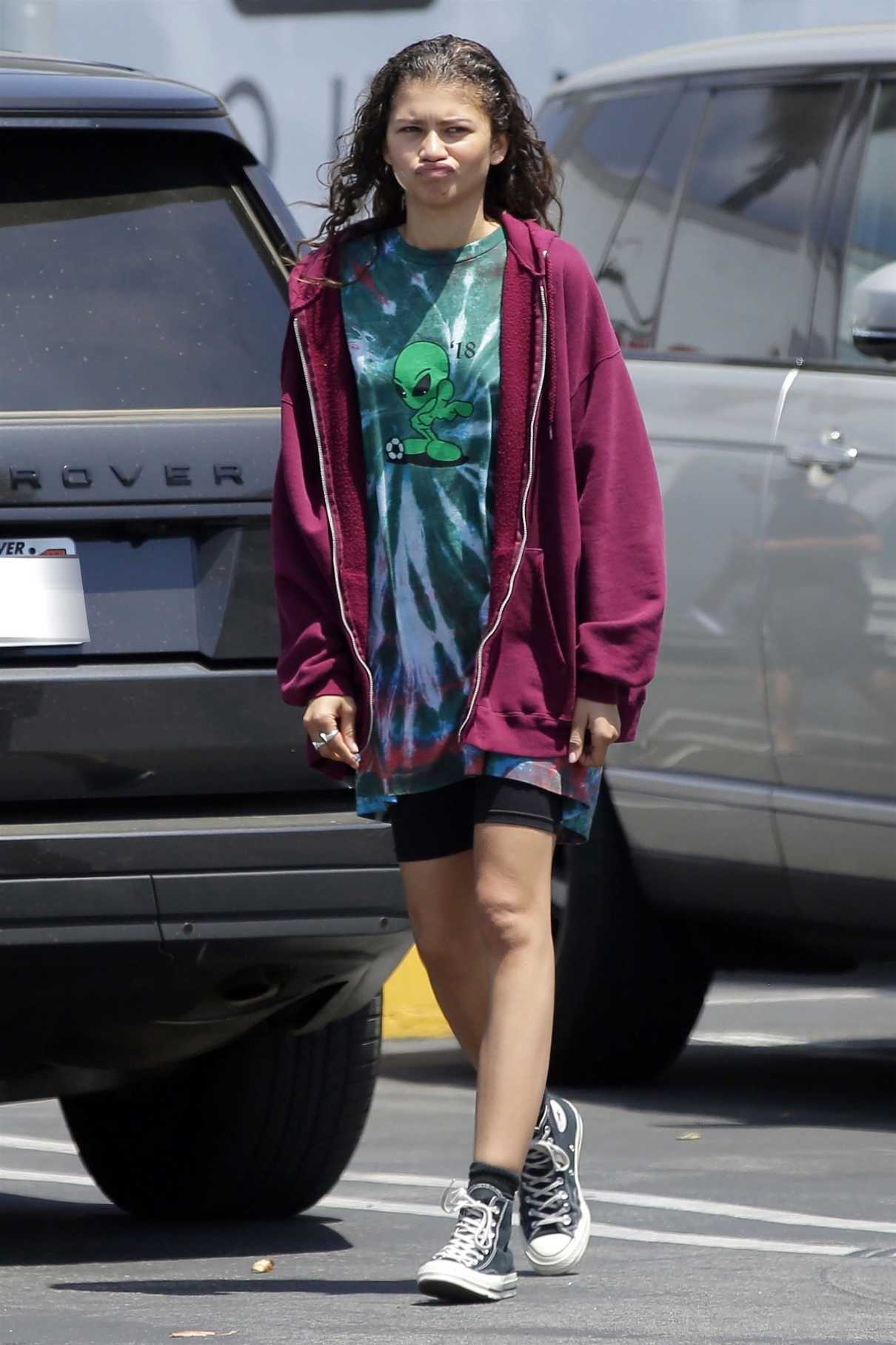 Zendaya Was Seen Out in Los Angeles 06/06/2018-1