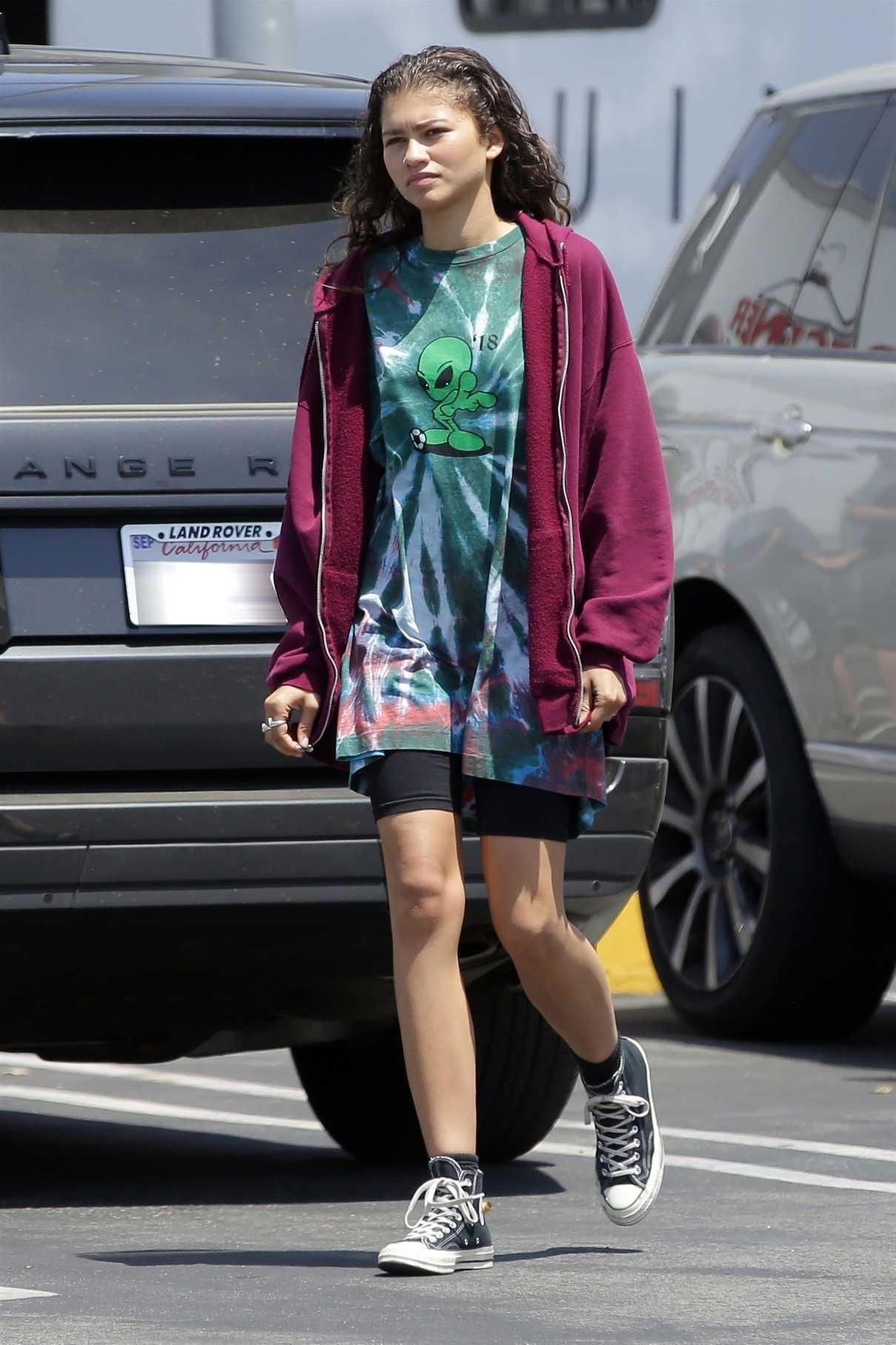 Zendaya Was Seen Out in Los Angeles 06/06/2018-2