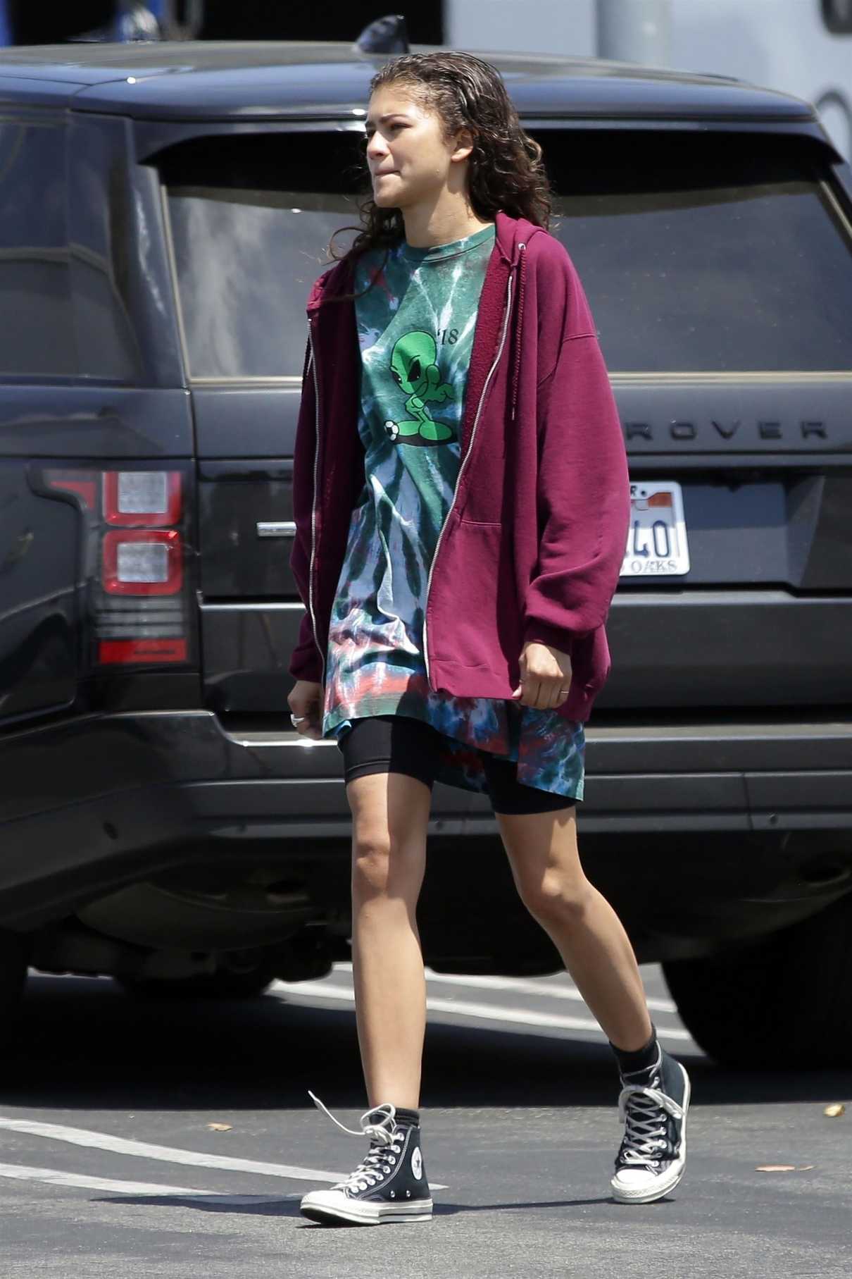 Zendaya Was Seen Out in Los Angeles 06/06/2018-3