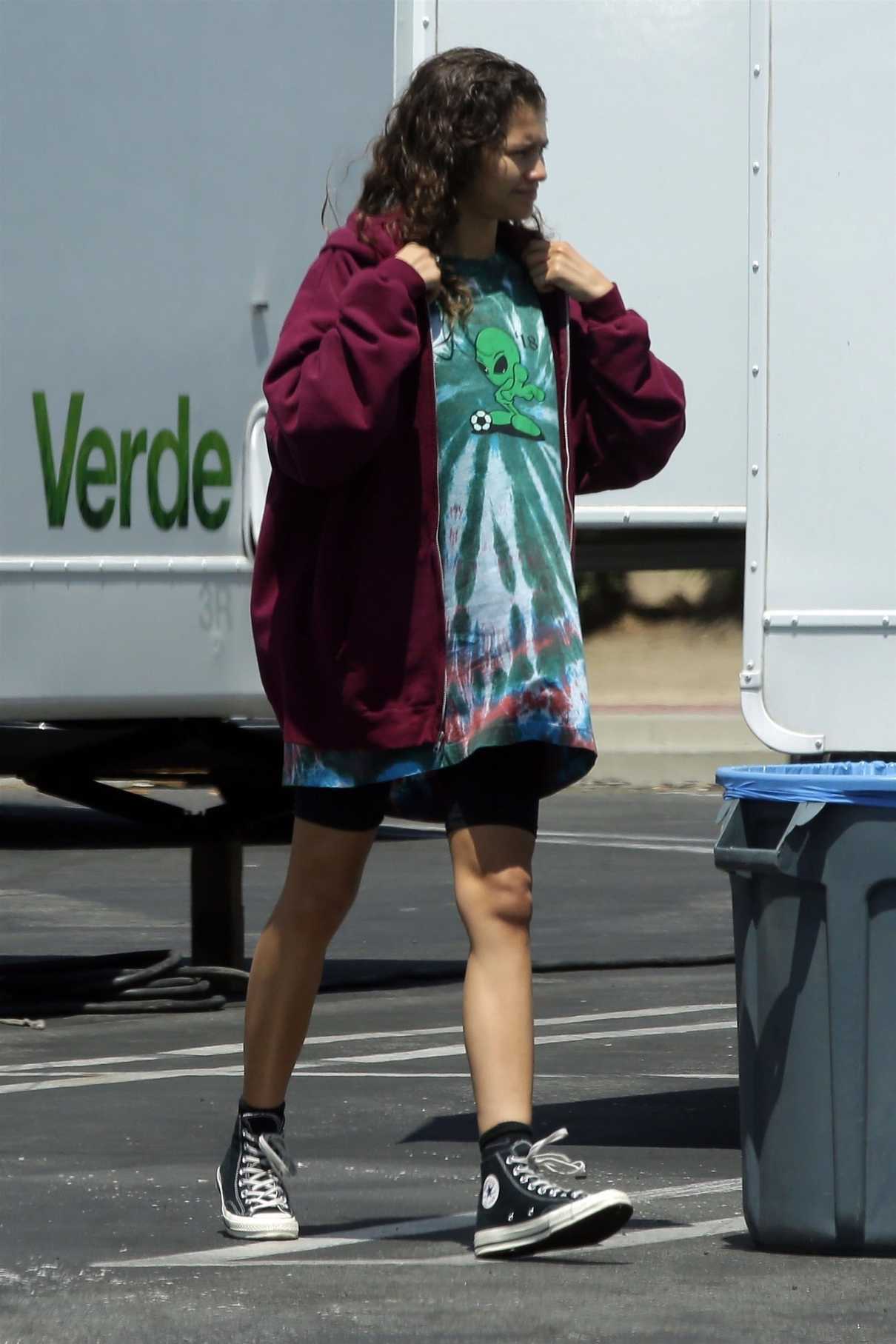 Zendaya Was Seen Out in Los Angeles 06/06/2018-4