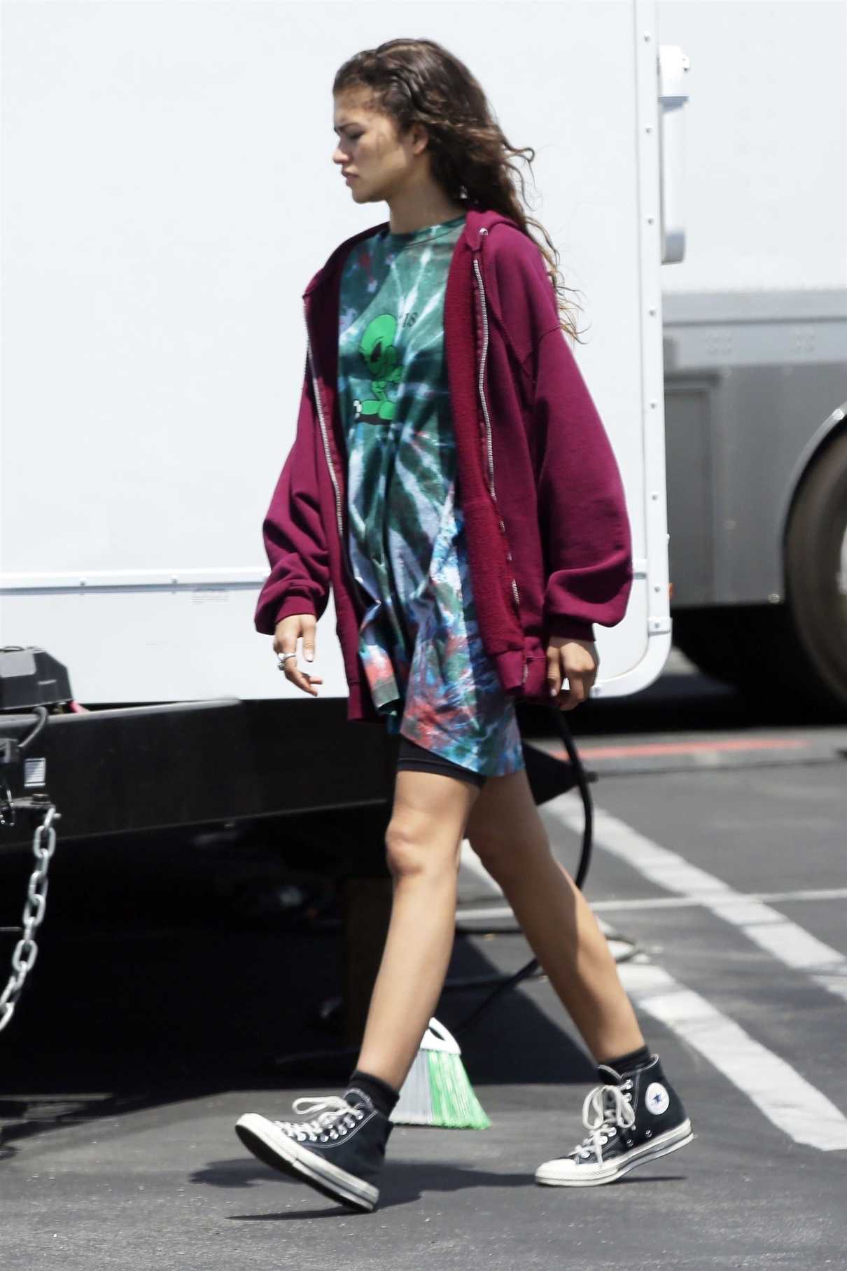 Zendaya Was Seen Out in Los Angeles 06/06/2018-5