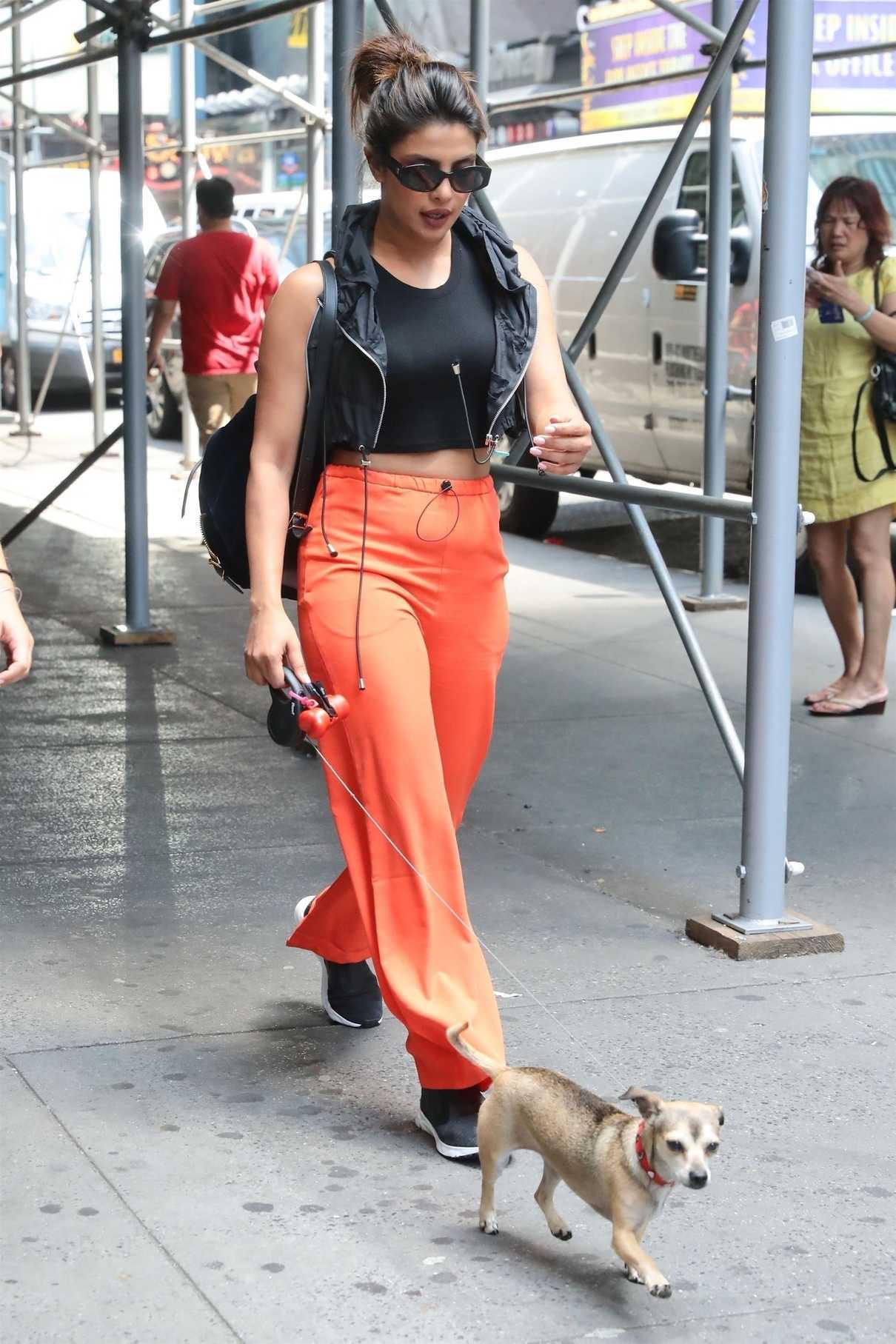 Priyanka Chopra Takes Her Puppy Diana to Her Musical on Broadway in New York City 07/13/2018-4