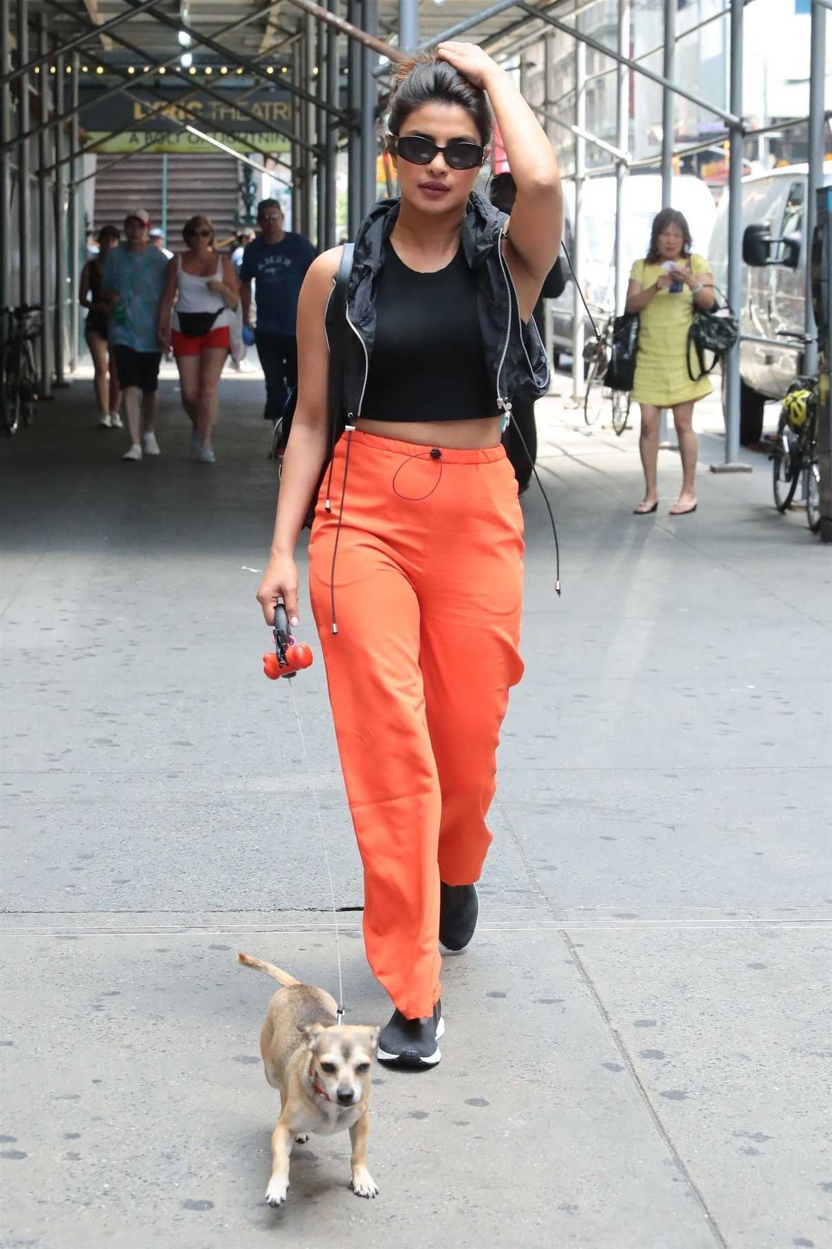 Priyanka Chopra Takes Her Puppy Diana to Her Musical on Broadway in New York City 07/13/2018-5