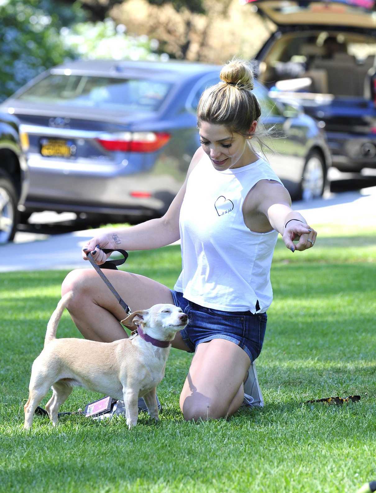 Ashley Greene in a Gray Vans Sneakers