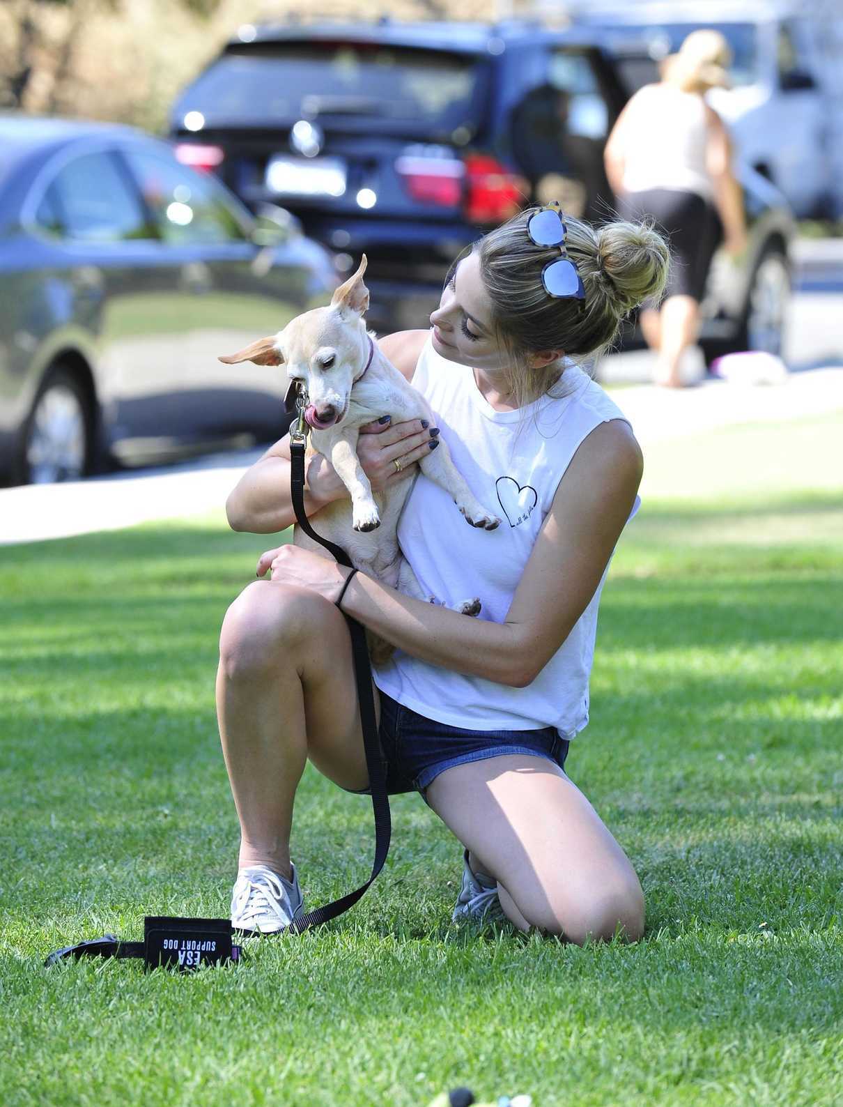 Ashley Greene in a Gray Vans Sneakers