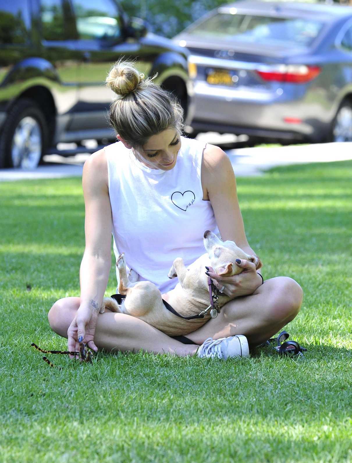 Ashley Greene in a Gray Vans Sneakers