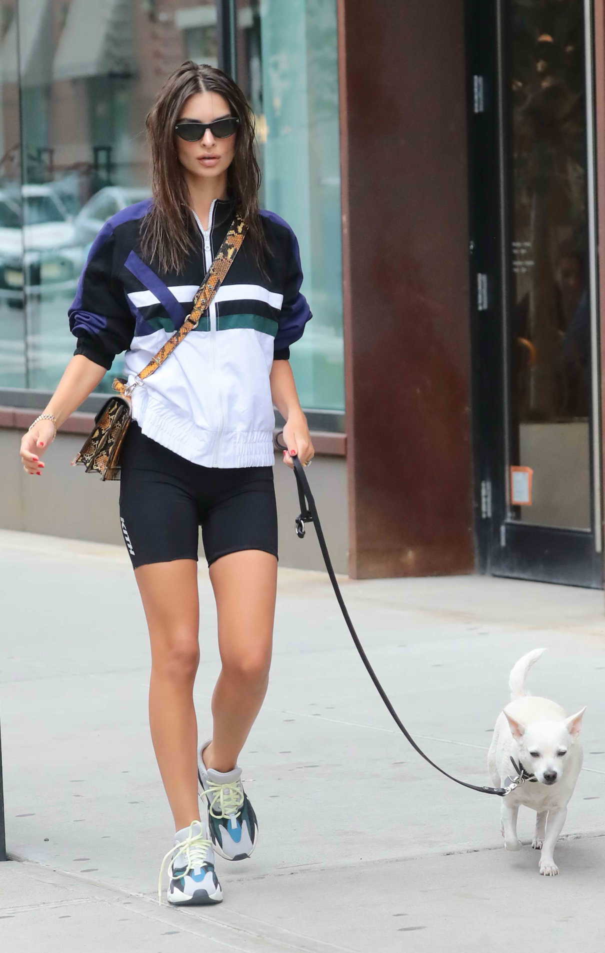 Emily Ratajkowski Out for a Stroll with Her Dog in NYC 09/01/2018-5