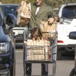 Brian Austin Green Gets Some Christmas Shopping in Los Angles 12/23/2018