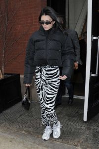 Kendall Jenner in a Zebra Print Pants