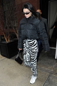 Kendall Jenner in a Zebra Print Pants