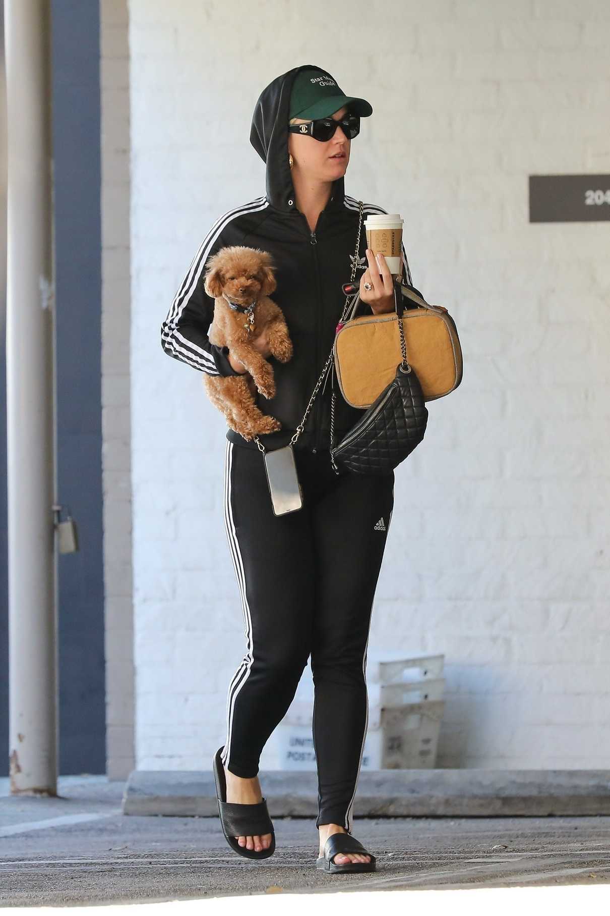 Katy Perry in a Black Adidas Track Suit Was Seen Out in Beverly Hills ...