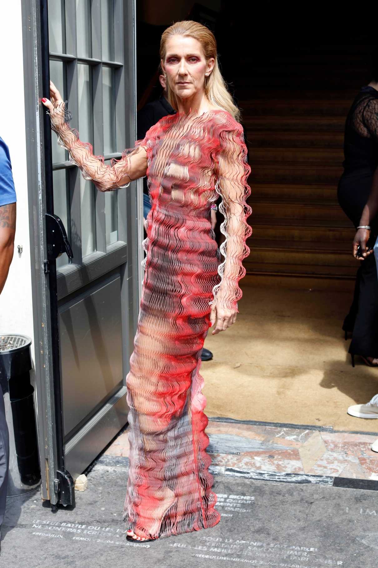 Celine Dion in a Crinkle Mesh Dress