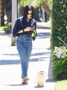 Lucy Hale in a Blue Blouse