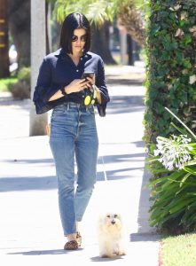 Lucy Hale in a Blue Blouse