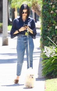 Lucy Hale in a Blue Blouse